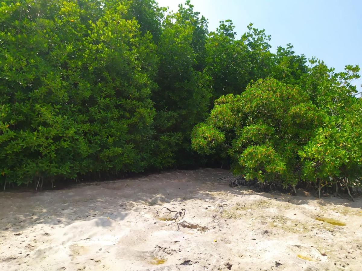 Courtyard Guesthouse Huraa Exterior foto
